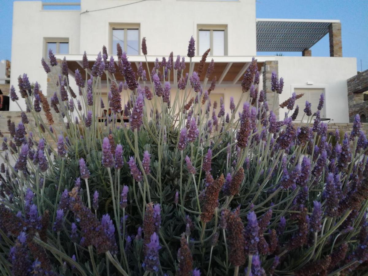 Nesaea Seafront House Villa Parasporos Buitenkant foto